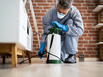 About Ant Control Montecito - ant control experts in Montecito
