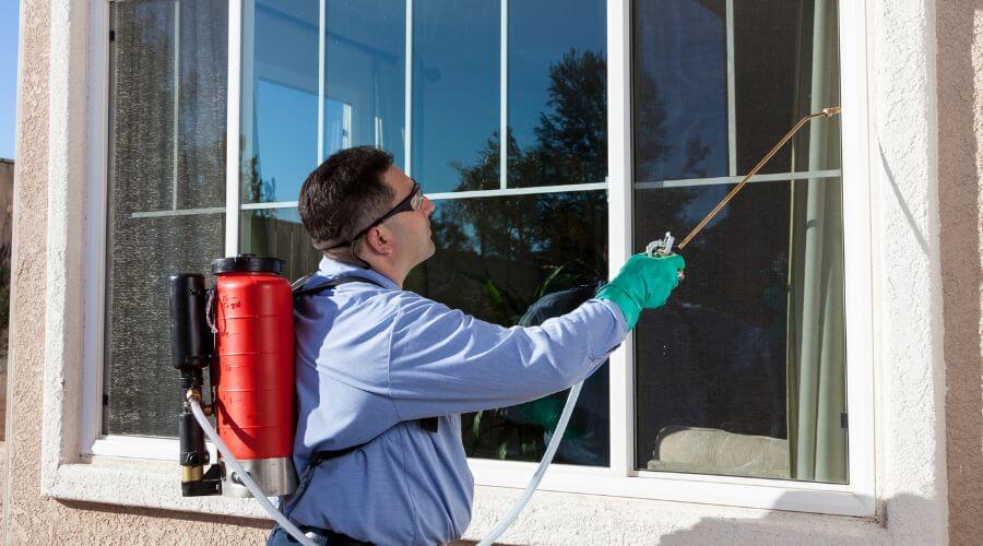 Professional ant control services in Montecito - Ant Control Montecito